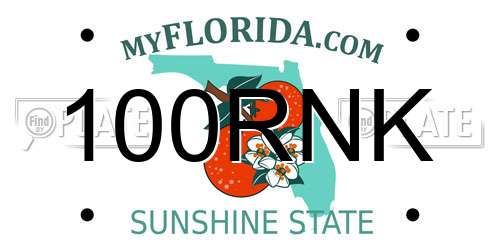 100RNK Florida License Plate