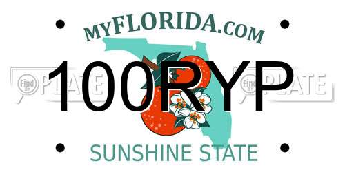 100RYP Florida License Plate