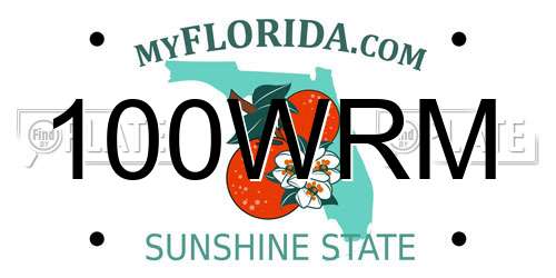 100WRM Florida License Plate