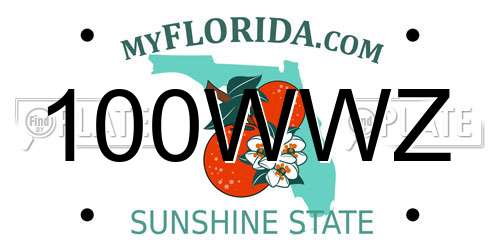 100WWZ Florida License Plate