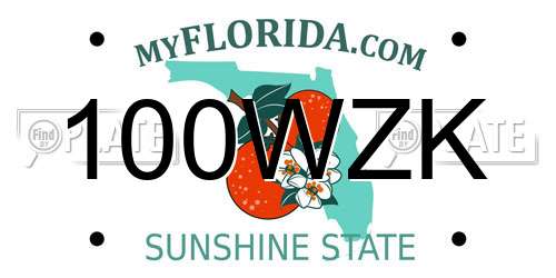 100WZK Florida License Plate