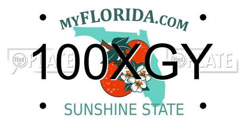 100XGY Florida License Plate