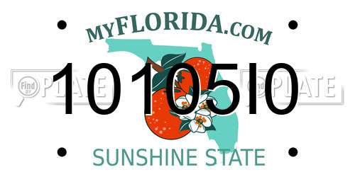 10105I0 Florida License Plate
