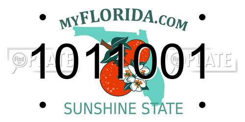 1011001 Florida License Plate