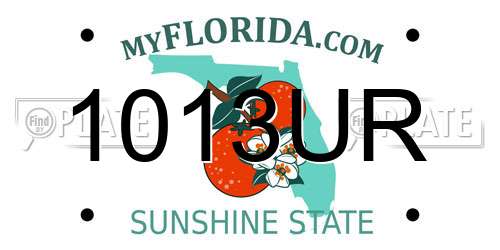 1013UR Florida License Plate
