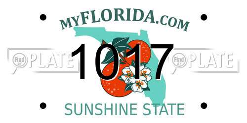 1017 Florida License Plate