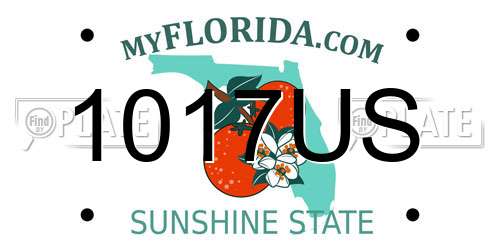 1017US Florida License Plate