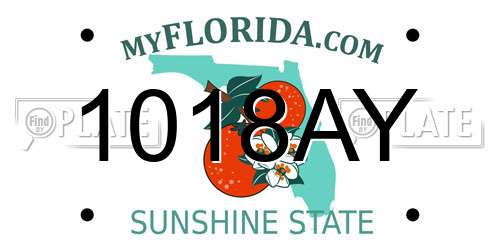 1018AY Florida License Plate