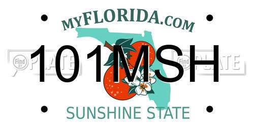 101MSH Florida License Plate