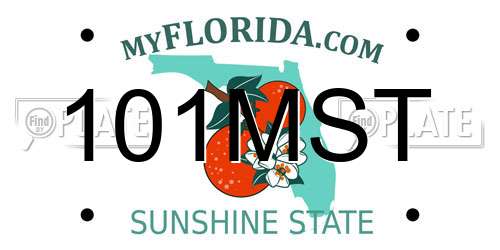 101MST Florida License Plate