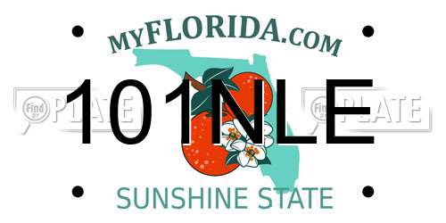 101NLE Florida License Plate