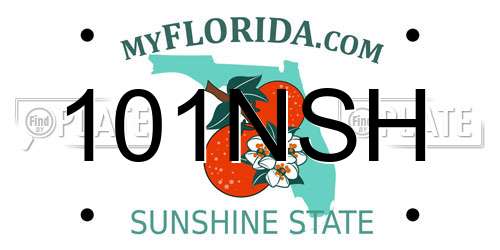 101NSH Florida License Plate