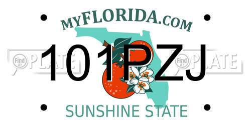 101PZJ Florida License Plate
