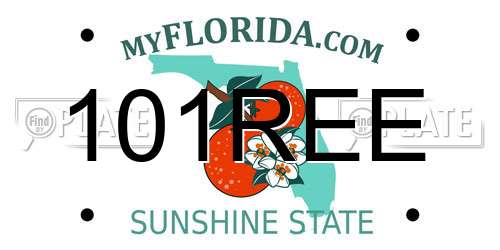 101REE Florida License Plate