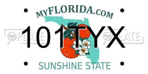 101TYX Florida License Plate