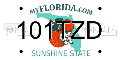 101TZD Florida License Plate