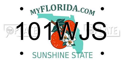 101WJS Florida License Plate