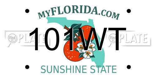 101WT Florida License Plate