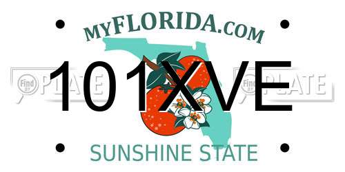 101XVE Florida License Plate
