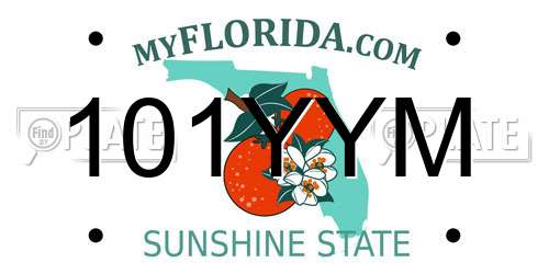 101YYM Florida License Plate