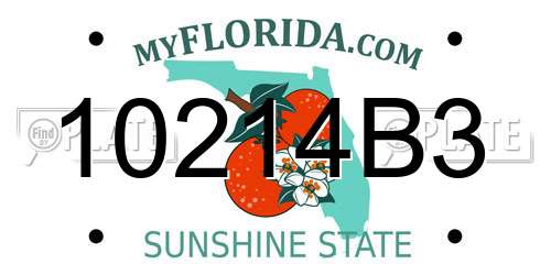 10214B3 Florida License Plate