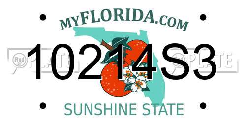 10214S3 Florida License Plate