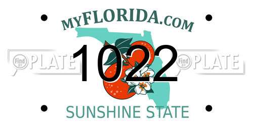1022 Florida License Plate