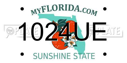 1024UE Florida License Plate