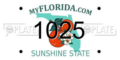 1025 Florida License Plate