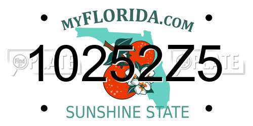 10252Z5 Florida License Plate