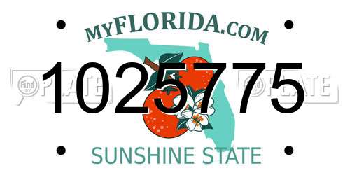 1025775 Florida License Plate