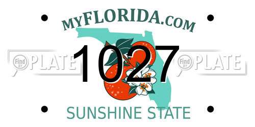 1027 Florida License Plate