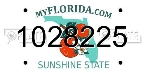 1028225 Florida License Plate