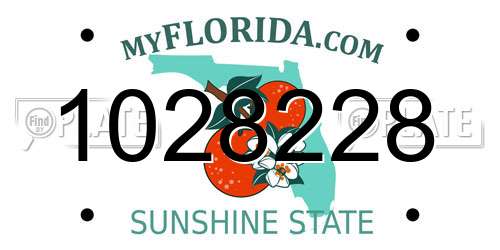 1028228 Florida License Plate