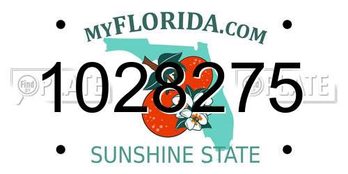 1028275 Florida License Plate