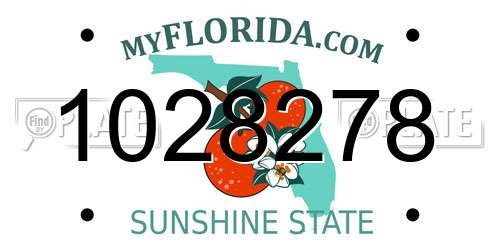 1028278 Florida License Plate