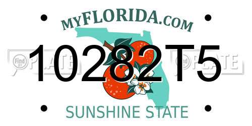 10282T5 Florida License Plate