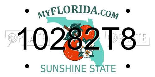 10282T8 Florida License Plate