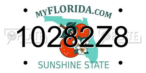 10282Z8 Florida License Plate