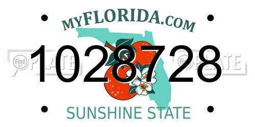 1028728 Florida License Plate