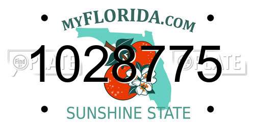1028775 Florida License Plate