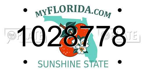 1028778 Florida License Plate
