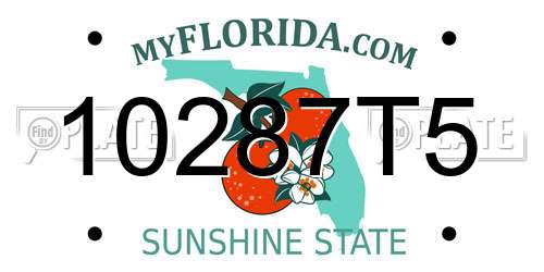10287T5 Florida License Plate