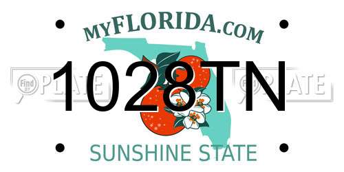 1028TN Florida License Plate