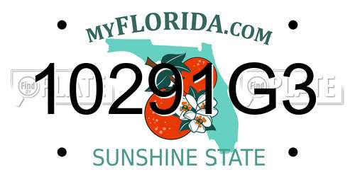10291G3 Florida License Plate