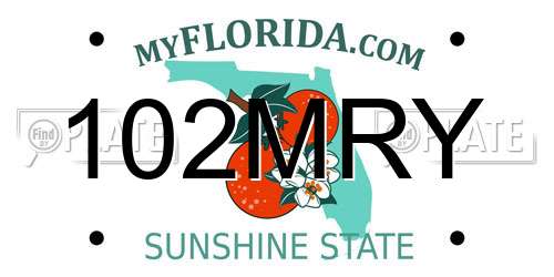 102MRY Florida License Plate