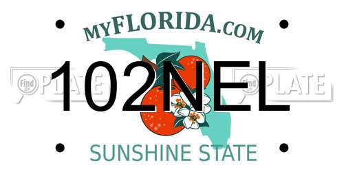 102NEL Florida License Plate