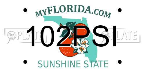 102PSI Florida License Plate