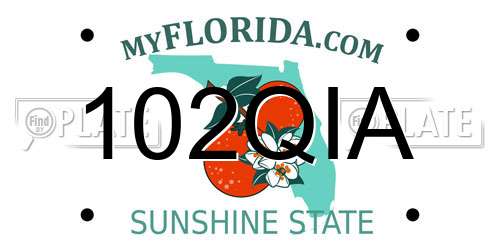 102QIA Florida License Plate