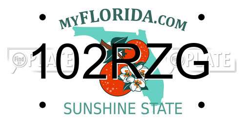 102RZG Florida License Plate